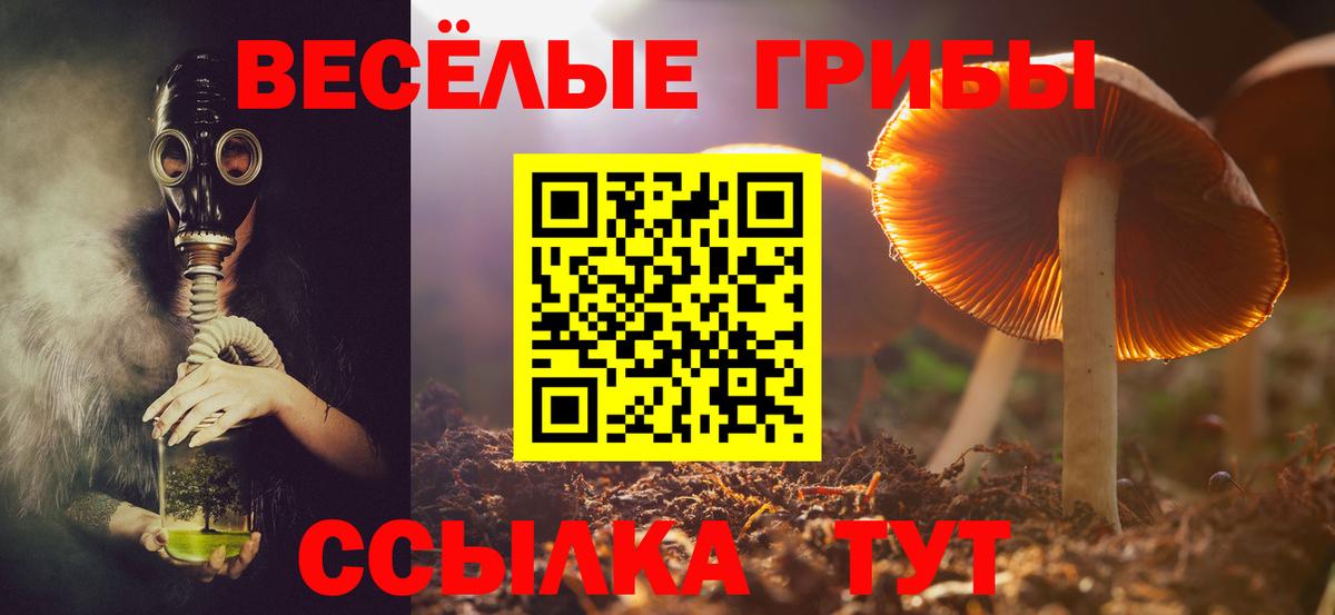 Галлюциногенные грибы Cubensis Котлас