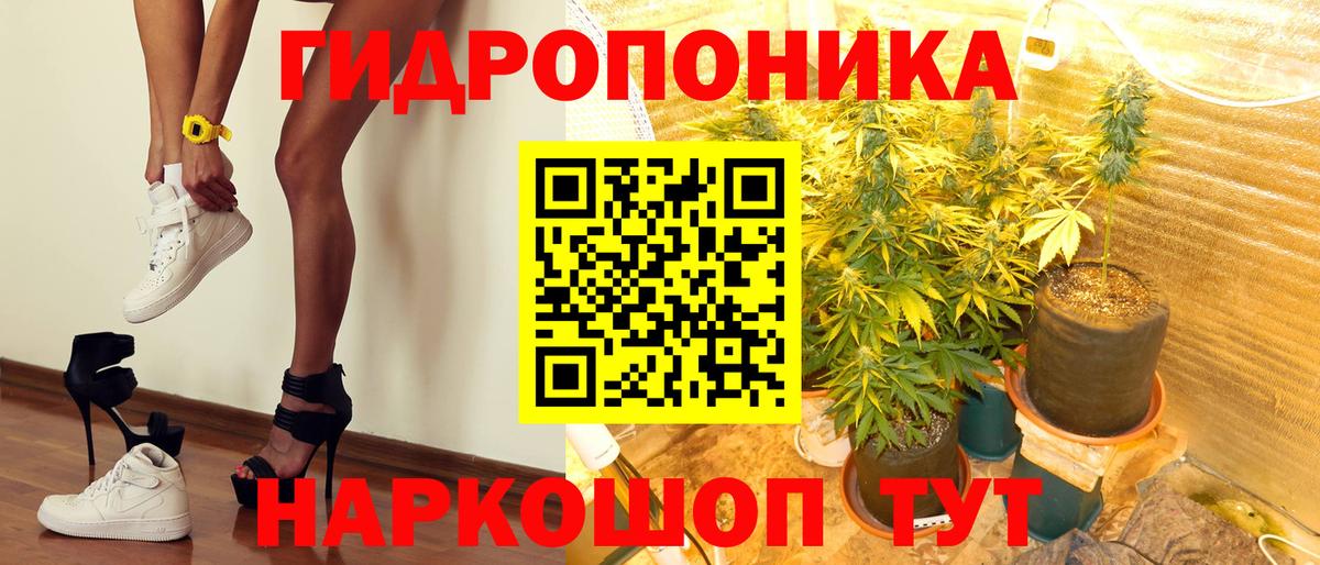 МАРИХУАНА конопля Котлас
