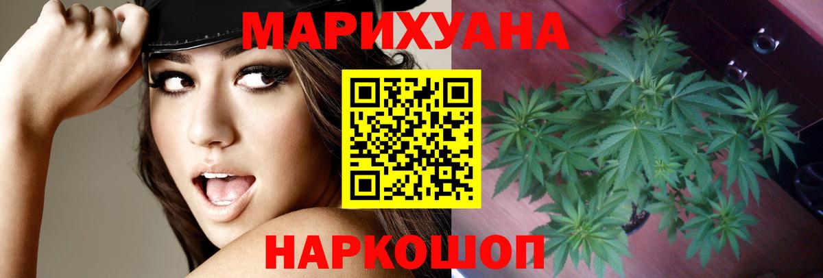 Бошки марихуана планчик  Бошки Шишки Bruce Banner  Котлас  Марихуана ГИДРОПОН  Вход с VPN 